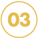 03 icon